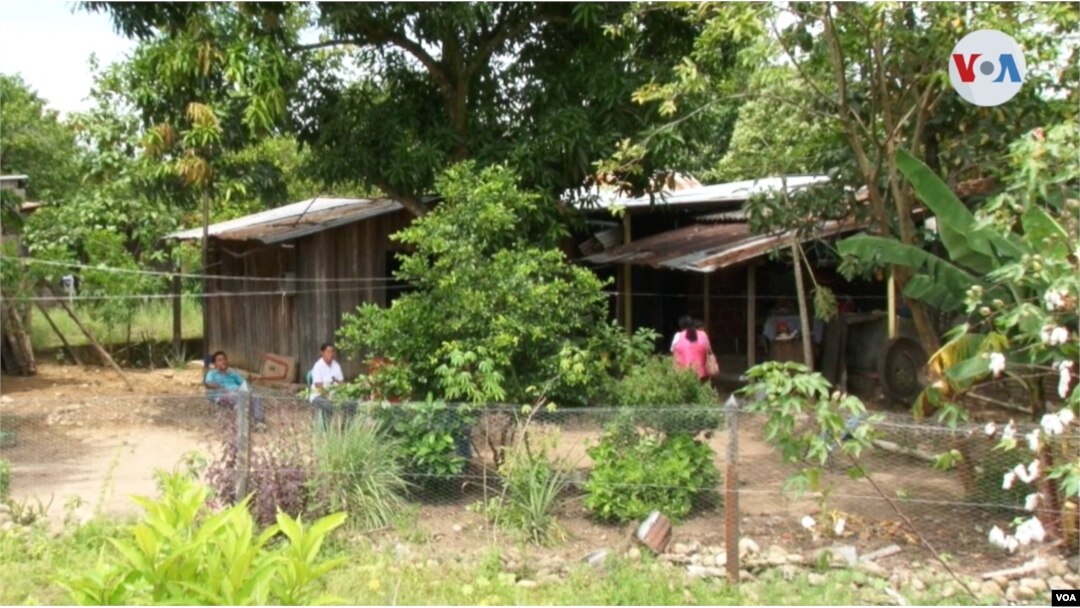 Una familia de campesinos colombianos en el departamento de Putumayo, en el sur del país, una de las zonas con el mayor número de homicidios presentados contra líderes sociales. Foto: Camilo Álvarez, VOA.