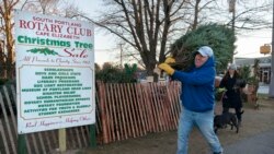 EE.UU: La venta de árboles de Navidad parece inmune a la inflación