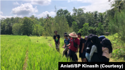 Perkemahan anak muda untuk pertanian di Kulonprogo diikuti 26 siswa sekolah menengah untuk memperkenalkan kembali pertanian kepada mereka. (Foto: Aniati/SP Kinasih)