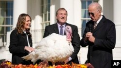 Umongameli Joe Biden esenza usiko lokuxolela ingalukuni phambilini kwelanga le Thanksgiving.