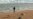 Shrinking Caspian Sea worries environmental activists