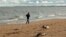 FILE - A person jogs past dead seals washed up on the coast of the Caspian Sea in Makhachkala, Russia, Dec. 6, 2022. One impact of the sea's shrinking is on the habitat for seals and sturgeons. The dropping water levels have also hurt local residents' livelihoods.