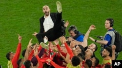 Morocco's head coach Walid Regragui is thrown in the air at the end of the World Cup round of 16 soccer match between Morocco and Spain, at the Education City Stadium in Al Rayyan, Qatar, Dec. 6, 2022.
