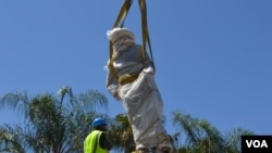 Curt von Francois statue being removed. (Vitalio Angula/VOA)