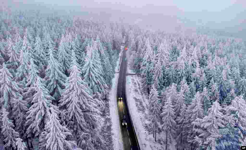 Trees are covered with snow and ice as cars drive on a road in the forests of the Taunus region in Frankfurt, Germany. &nbsp;(AP Photo/Michael Probst)