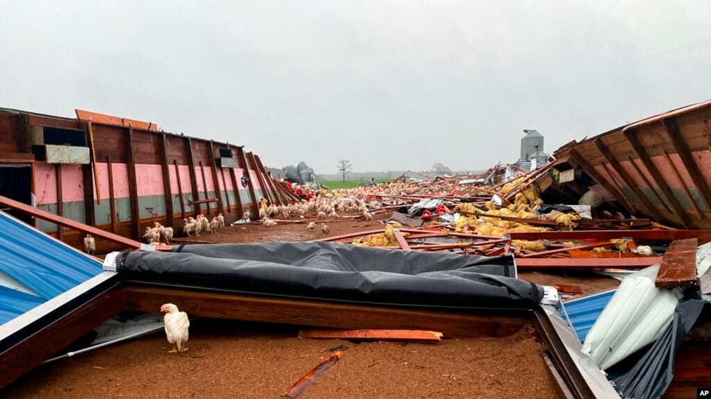 美国密西西比州的一个养鸡厂被龙卷风摧毁（2022年12月14日）(photo:VOA)