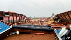 Chickens roam free after a chicken farm was damaged by a tornado, Dec. 14, 2022, in Pelahatchi, Miss.