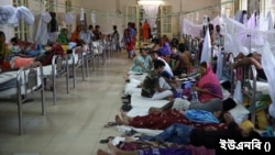 বাংলাদেশের বিভিন্ন হাসপাতালে এখন ডেঙ্গু আক্রান্ত ৬৫ জন রোগী চিকিৎসাধীন রয়েছেন। (ফাইল ছবি) 