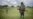 Congo Militias Take Fight to M23 Rebels