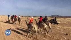 Un festival se veut la vitrine touristique du Niger