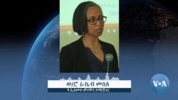 አዲስ አበባ በሚገኙ ትምሕርት ቤቶች ክልላዊ ሰንደቅ ዓላማ መስቀልና ማዘመር የሕግ መሰረት የለውም- ኢሰመኮ