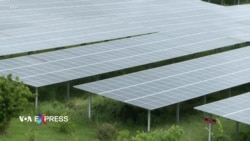 EU, Anh, Việt Nam hợp tác chuyển dịch năng lượng