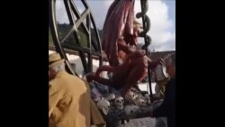 危地马拉庆祝烧恶魔节