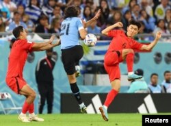 Uruguay's Edinson Cavani fights for the ball with South Korea's Hwang In-beom during the World Cup group H soccer match between Uruguay and South Korea at the Education City Stadium in Al Rayyan, Qatar, Nov. 24, 2022.