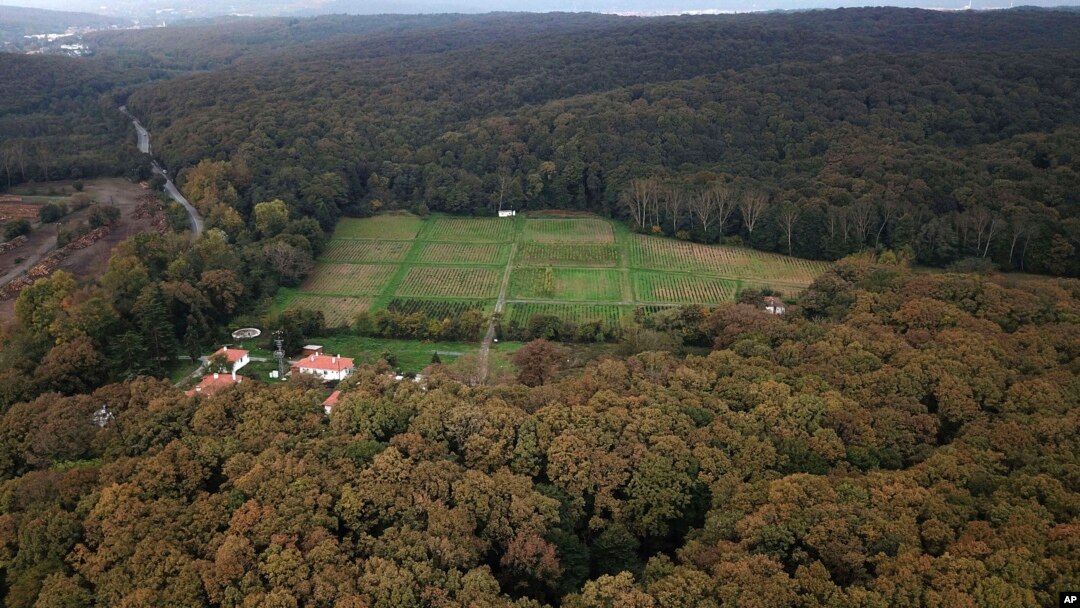 Šuma blizu Istanbula koju pretražuju turski istražitelji