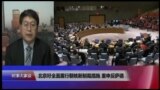 VOA连线(叶兵)：北京吁全面履行朝核新制裁措施 重申反萨德