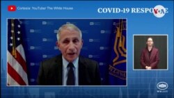 Anthony Fauci: vacunas probablemente combaten variante india 