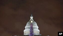 The U.S. Capitol Christmas tree is seen after a lighting ceremony, in Washington, D.C., December 6, 2011.