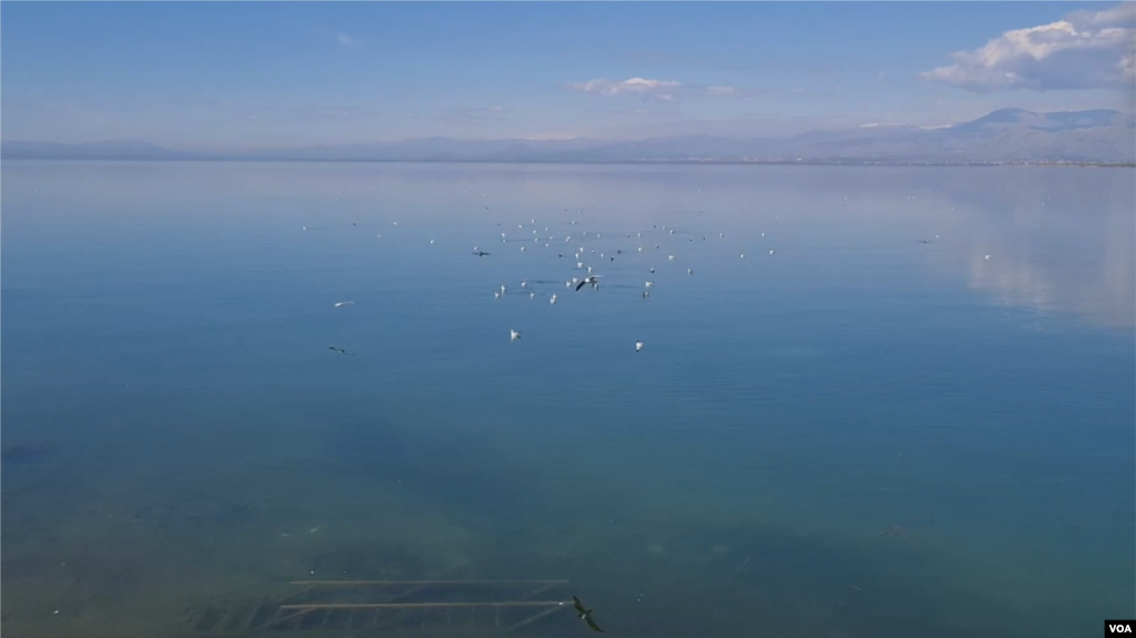 Liqeni i Shkodres