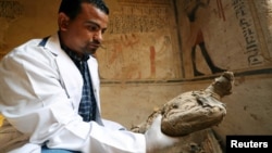 FILE - An archeologist holds an ancient mummified bird, found inside the burial site, Tomb of Tutu, at al-Dayabat, Sohag, Egypt, April 5, 2019. (Reuters/Mohamed Abd El Ghany)