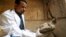 FILE - An archeologist holds an ancient mummified bird, found inside the burial site, Tomb of Tutu, at al-Dayabat, Sohag, Egypt, April 5, 2019. (Reuters/Mohamed Abd El Ghany)