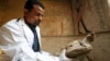 باستان‌شناس جسد مومیایی شده یک پرنده که در مقبره ای در استان سوهاج مصر پیدا شده را در دست گرفته است - ۵ آوریل ۲۰۱۹