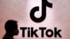 歐盟加強監管互聯網公司 TikTok面臨高額罰款