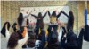 اعتراضات سراسری ایران، پرفورمنس دختران دانش‌آموز در یک مدرسه 