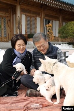 FOTO FILE: Presiden Korea Selatan Moon Jae-in dan ibu negara Kim Jung-sook menggendong anak anjing yang lahir dari anjing pemburu hadiah dari Korea Utara, di Seoul, Korea Selatan 25 November 2018.(Kantor Presiden Korea Selatan Kantor/Handout/via REUTERS)