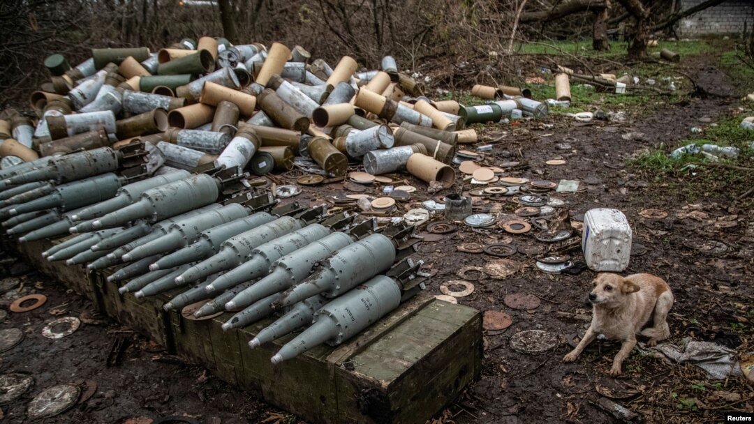 A dog sits near shells for tanks, in Siversk, Donetsk region, Ukraine, Nov. 6, 2022. 