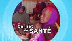 Carnet de santé : le changement climatique et la santé