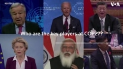 Who are the key players at COP27?