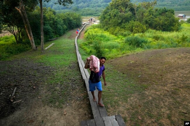 Fisherman Marco Aurelio Cauto Viana, carries pieces of a pirarucu fish in San Raimundo settlement, at Medio Jurua region, Amazonia State, Brazil, Monday, Sept. 5, 2022. (AP Photo/Jorge Saenz)