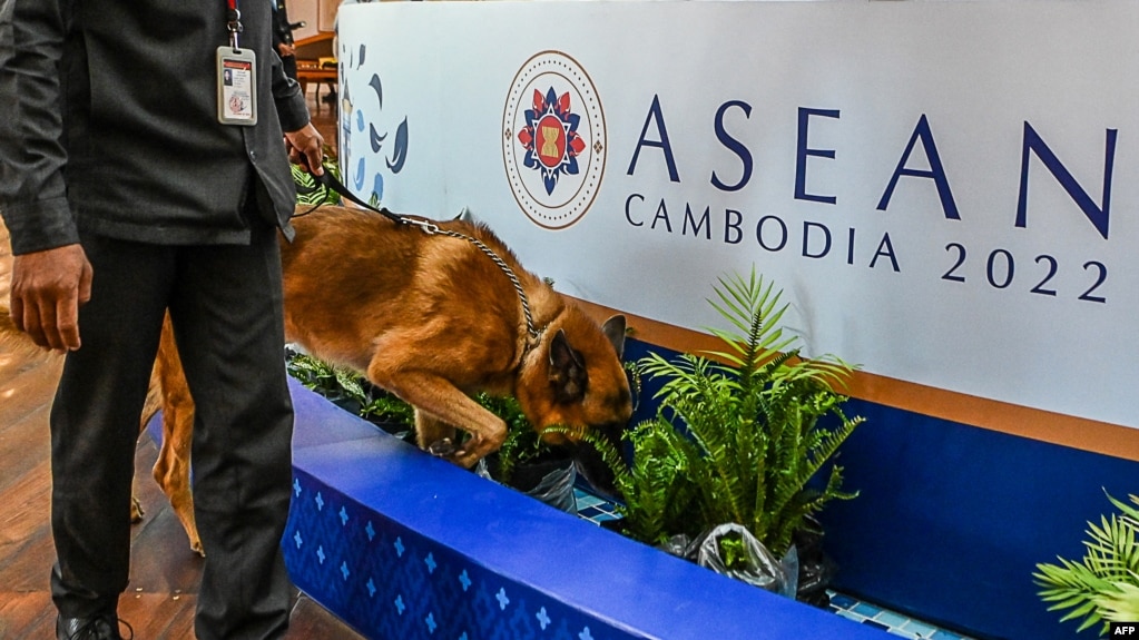 在柬埔寨金边，警犬正在搜索可能的爆炸物，这是即将到来的东盟峰会的安保措施之一。(2022年11月7日)(photo:VOA)