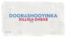 Qubanaha VOA, Nov 08, 2022