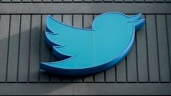 Quiz - Users Concerned about Twitter Seek Alternative Services