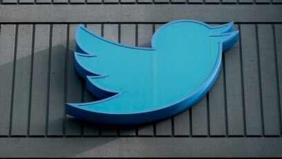 Quiz - Users Concerned about Twitter Seek Alternative Services