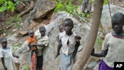 Sudanese children displaced from their homes in the rebel stronghold of Kauda take shelter in the hills surrounding the town in the Nuba mountains as they flee with their families from government bombardment, June 30, 2011