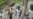Pinpointing Khartoum's Atrocities In Sudan's Southern Kordofan State