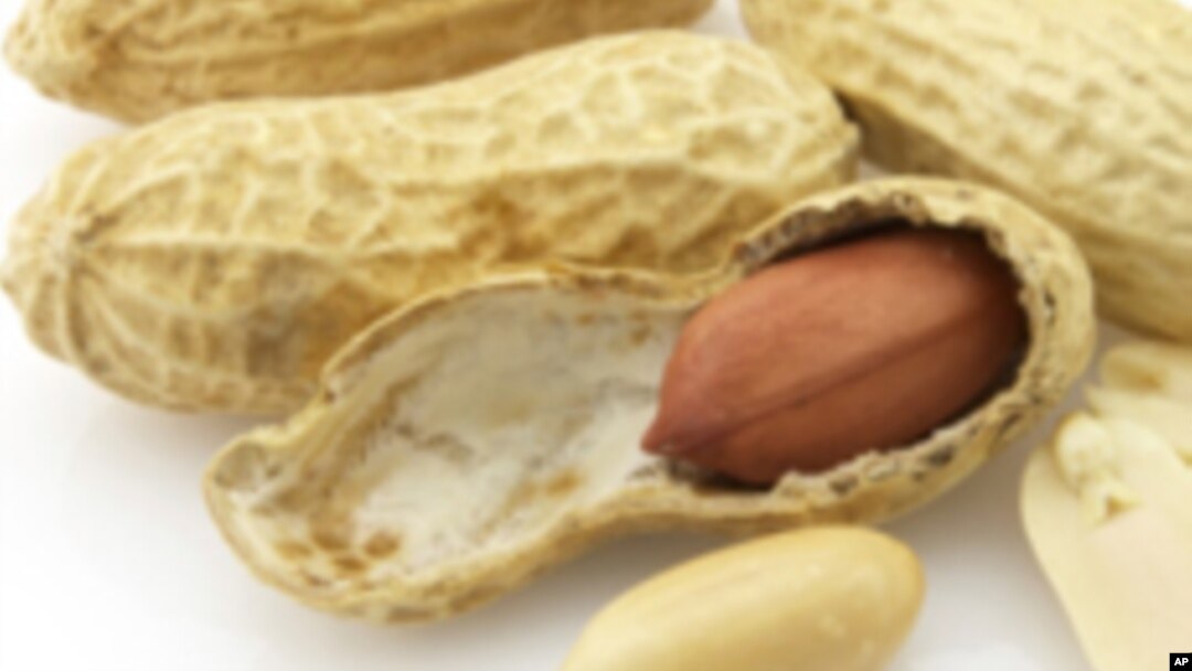 Dị ứng với đậu phụng đã tăng gấp đôi tại Mỹ và Anh trong vòng 10 năm qua và cũng gia tăng tại Á Châu và Phi Châu. 