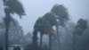 Hurricane Michael Clobbers Florida Panhandle 