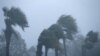 Ураган «Майкл» обрушился на Флориду