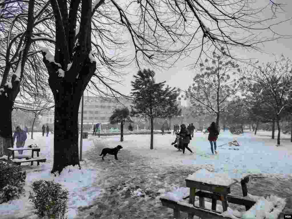 Shkodra snow 