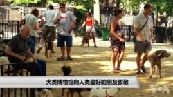 犬类博物馆向人类最好的朋友致敬