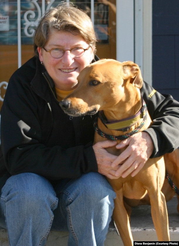 Diane Benjamin treated her Rhodesian ridgeback-greyhound mix with a CBD hemp oil.