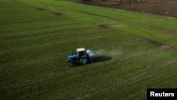 Трактор розкидає добрива на пшеничному полі поблизу Харкова, 5 квітня 2022 року. 