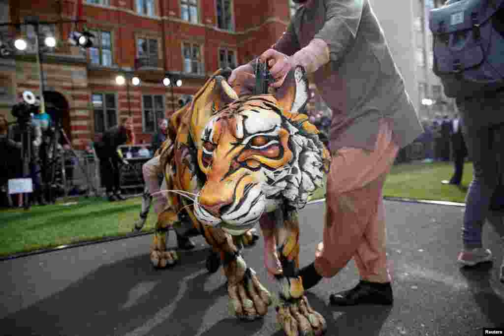 A tiger from &quot;Life of Pi&quot; arrives at the Olivier Awards in the Royal Albert Hall in London, April 10, 2022.