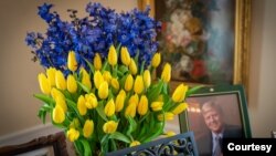 A special arrangement was made to show solidarity with Ukraine at the 2022 Dutch embassy Tulip Days celebration. Photo courtesy of the Embassy of the Netherlands in the United States.