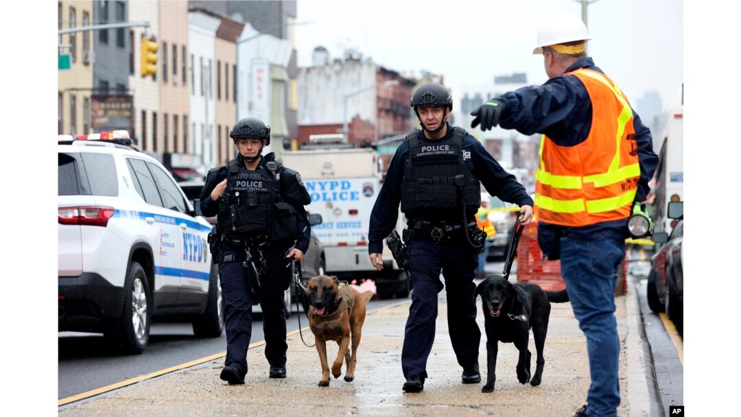 Petugas dengan anjing pelacak bom memeriksa area setelah terjadi penembakan di kereta bawah tanah pada Selasa, April. 12, 2022, di wilayah Brooklyn di New York. (Foto: AP)