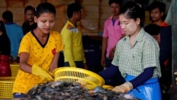 မြန်မာ ရွှေ့ပြောင်းတွေ လုပ်ခွင့်သက်တမ်းတိုးပေးရေး ထိုင်းအစိုးရသဘောတူ